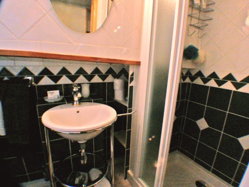 Each cabin has a private bath with shower, sink, and commode.