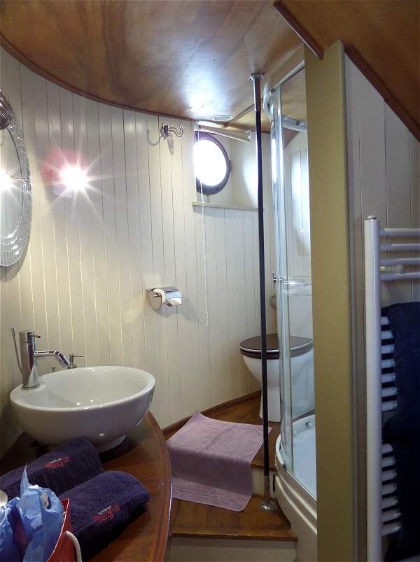 The ensuite bathroom for the Rive Gauche cabin
aboard the Alegria