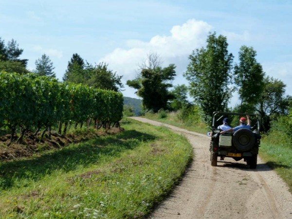 WWII jeeps are a fun way to tour the
vineyards of Clos de Vougeot