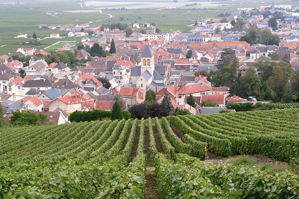 One of the excursions in the Champagne region includes a visit to the vineyards and seeing all the stages in the production of the champagne, concluding with a tasting.