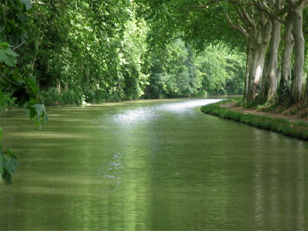 Explore the magnificent and historic Canal du
Midi on board the Emma