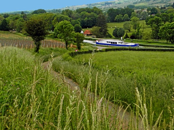 The luxury vessel Finesse cruising through the Cote d'Or
<br>vineyards of Southern Burgundy