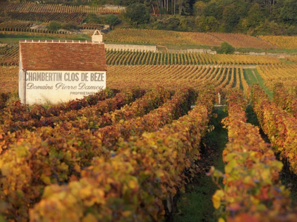 Experience a beautiful autumn cruise
when the grapes are ripe for harvest
