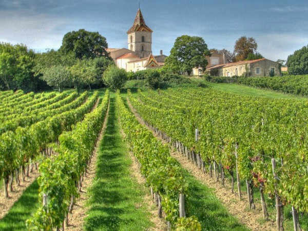 One of the many lovely chateaux and vineyards that dot
the alluring
countryside