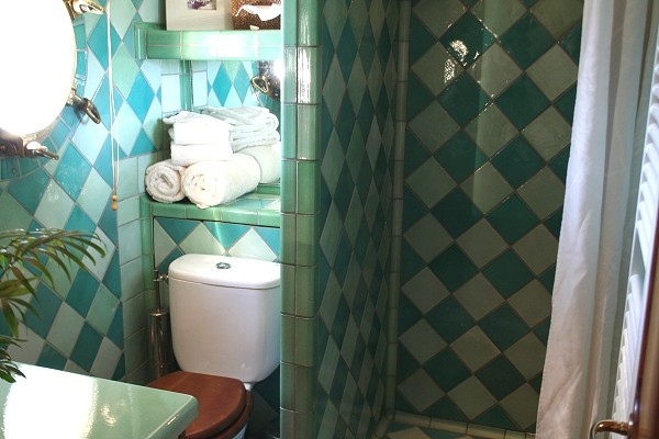 Renoir cabin's bath aboard the Tango.