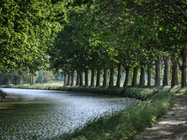 The historic Canal du Midi