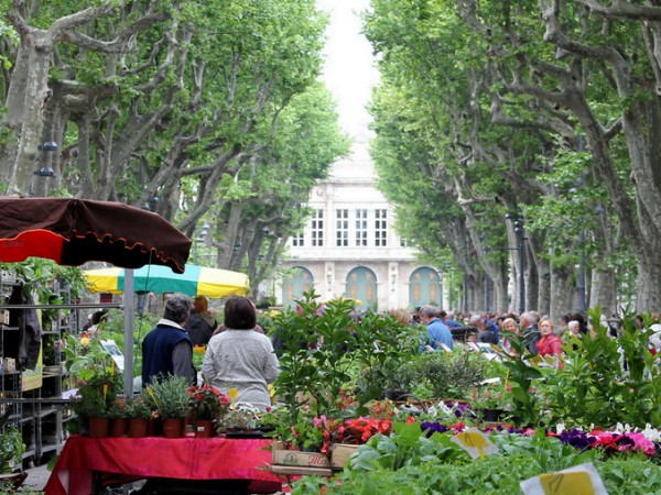One of the many delightful open air markets
typical of the region