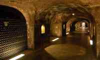 Champagne Cellar