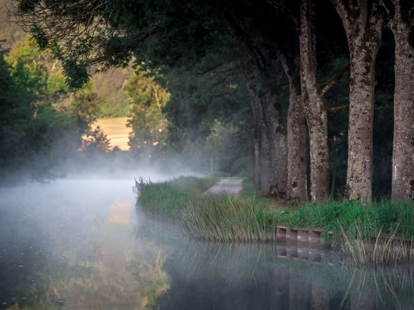 Morning mist on the Canal de Bourgogne