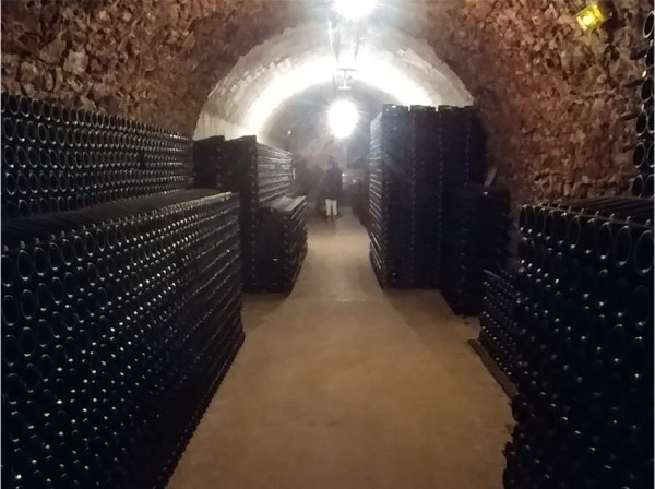 Visits to wonderful champagne houses with
tastings!
