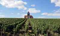 Chablis vineyard