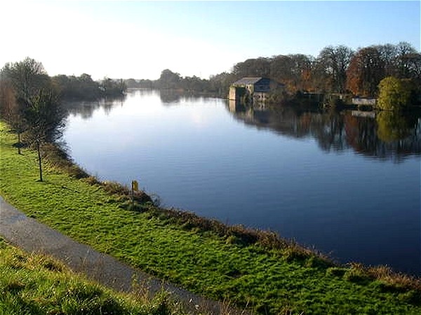 The
beautiful
scenery you will enjoy as you cruise the Shannon River