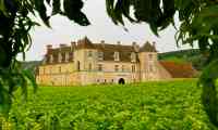 Chateau de Clos de Vougeot