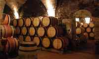 Burgundy Wine Cellar
